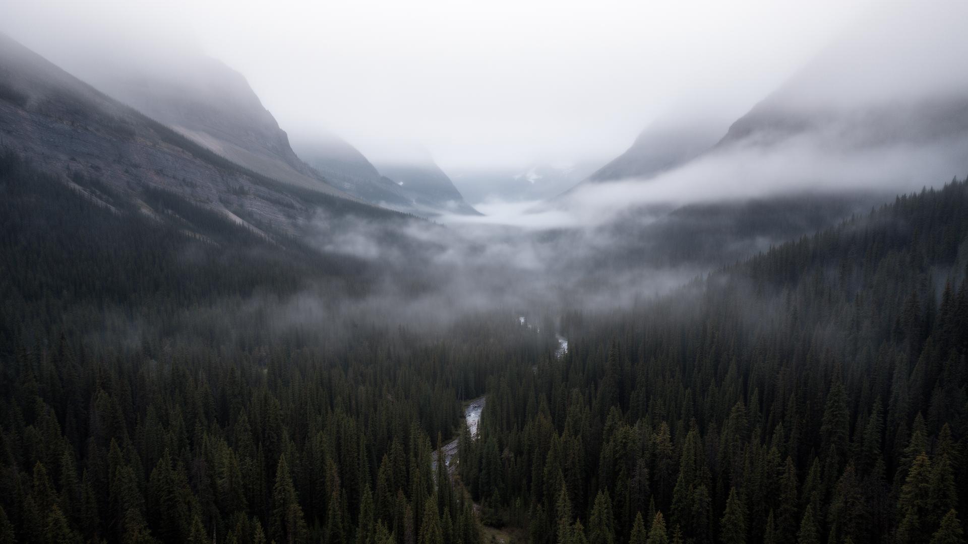 Aerial view of a mountain pass in the Canadian Rockies, Alberta