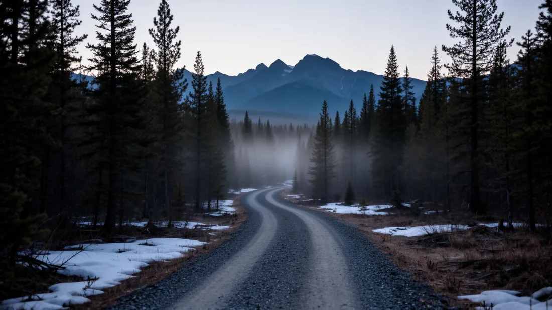 Narrow gravel access track curving into pine and larch, blue-hour light, distant Bow Valley ridge.