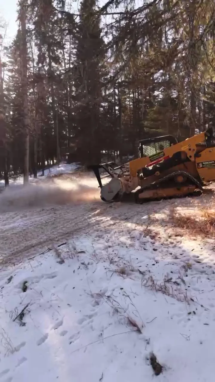 Compact track loader running a mulching head through brush in a snowy stand of pines, wood chips throwing in low winter sun.