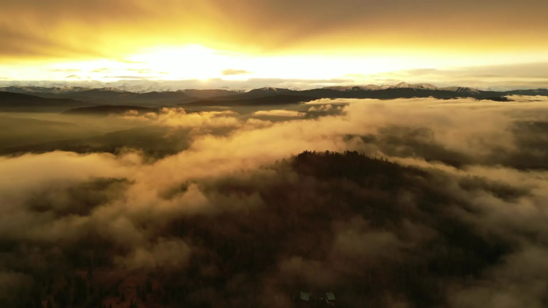 Aerial above a low cloud layer at sunrise, forested ridges breaking through the mist with snow-capped Rockies along the horizon.