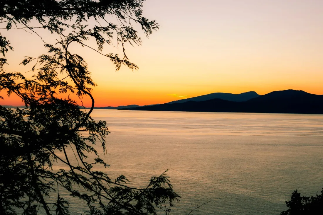 Silhouetted branches framing a still bay at sunset with distant island headlands under an amber and blue sky.