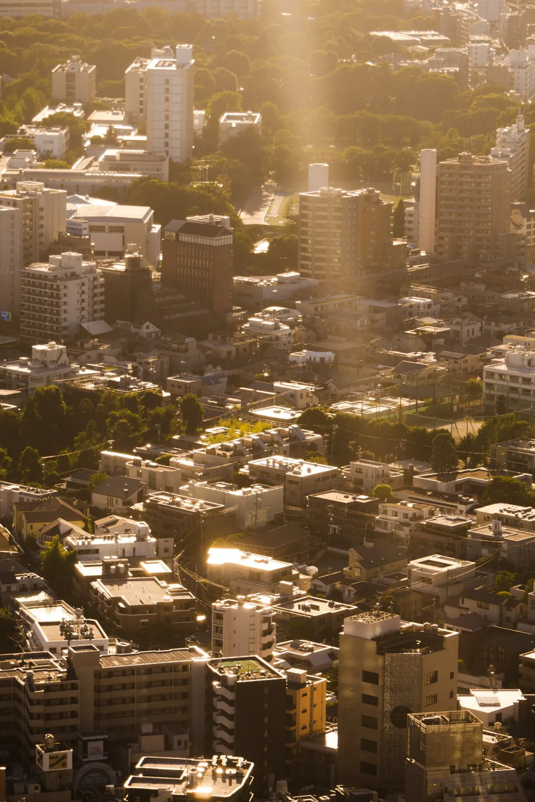 A shaft of low sun raking across a dense field of city rooftops, splitting the frame into lit and shadowed blocks.