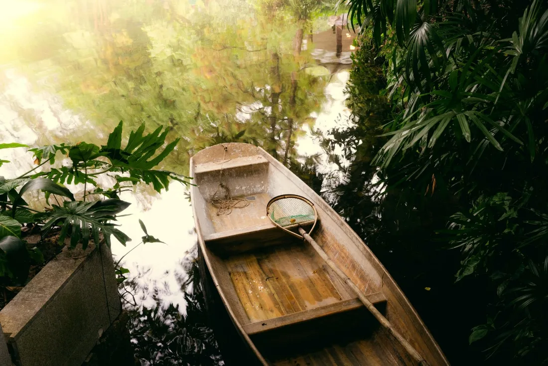 A wooden rowboat moored on glassy water in deep green shade, ferns and overhanging leaves framing the hull.
