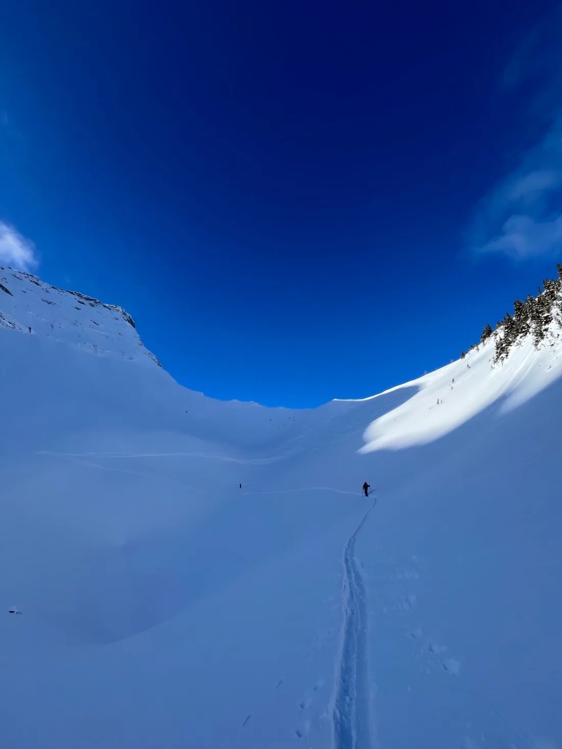 A single skin track curving up an untouched snow bowl toward a corniced col, two small ski tourers ahead under a deep bluebird sky.